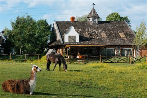 Slovenské ovčie farmy