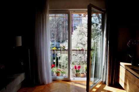 Ilustrácia francúzskeho okna s výhľadom do záhrady