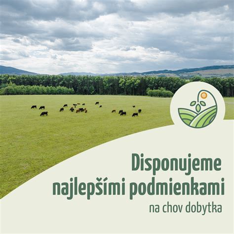 Pasúci sa dobytok na zelenej lúke