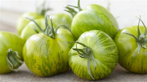 Odroda paradajky Green Zebra