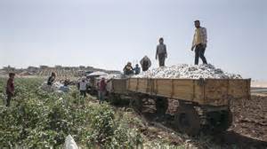 Ilustrácia histórie tofu v Ázii