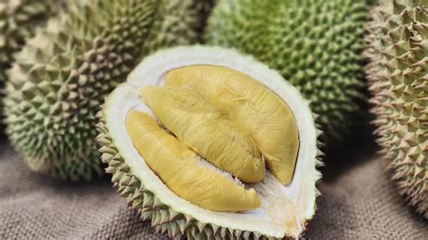 ovocie durian