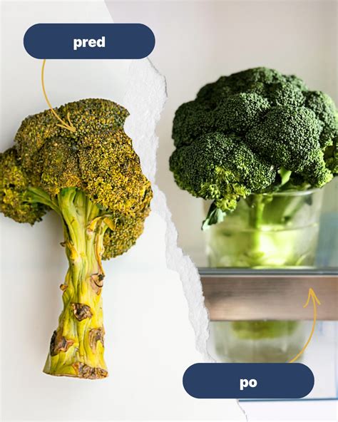 Ilustrácia vrstvenia zeleniny do pohára