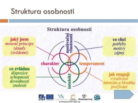 Schéma právnej ochrany osobnosti.