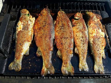 Príprava pstruha na gril