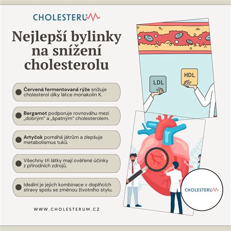 Infografika o zdrojoch cholesterolu v tele