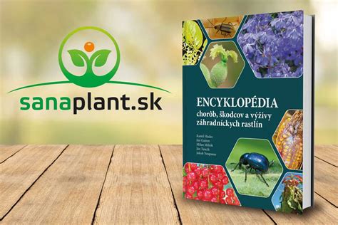 Ilustrácia škodcov kapusty