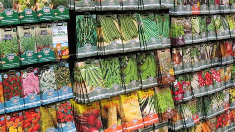 Rozmanitosť semien v obchode