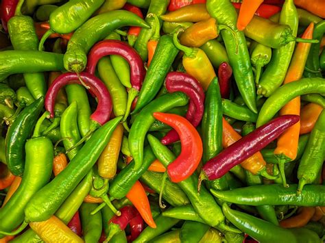 Ilustrácia výsevu papriky