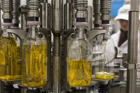 Ilustrácia procesu lisovania olív za studena