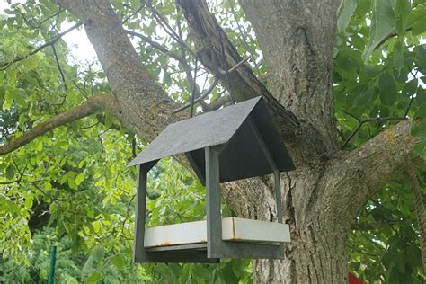 Protištekacia búdka umiestnená na strome