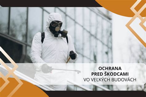 Ochrana kapusty pred škodcami