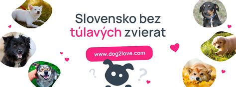 Porovnanie vývaru a iných doplnkov pre psov