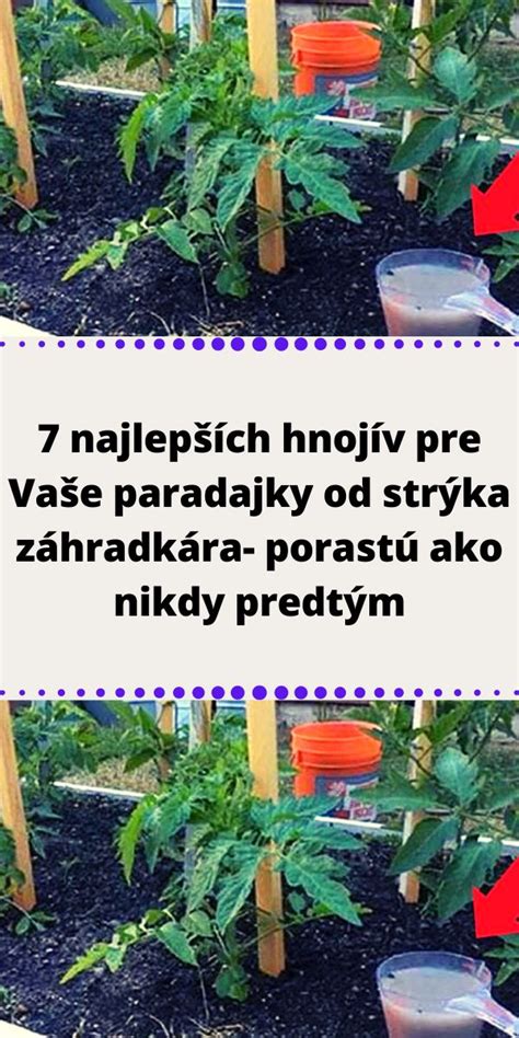 Rôzne druhy hnojív pre paradajky