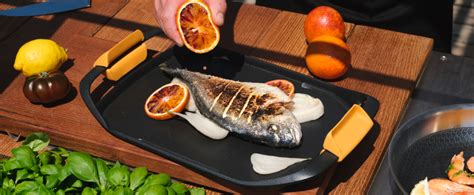 Ilustrácia prípravy rýb na grilovanie