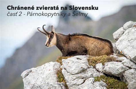 Mapa zvierat na Slovensku