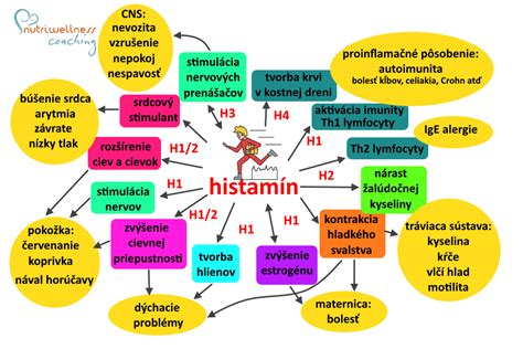 Ilustrácia domáceho testu na histamín