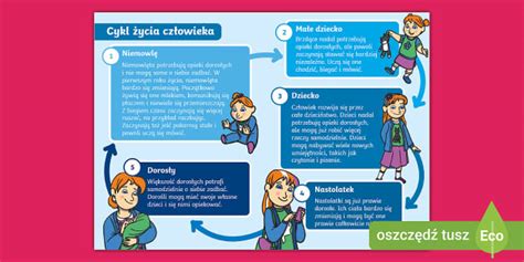 Infografika o vývojovom cykle svalovca