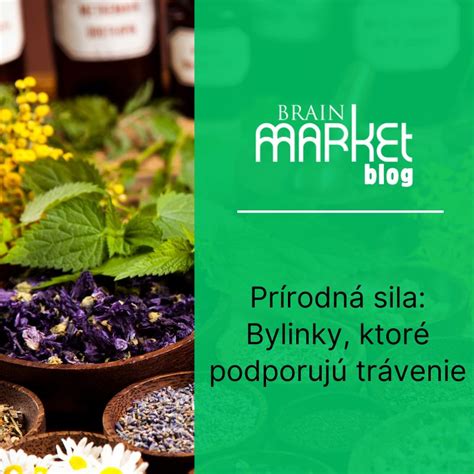 Ilustrácia: Bylinky podporujúce trávenie