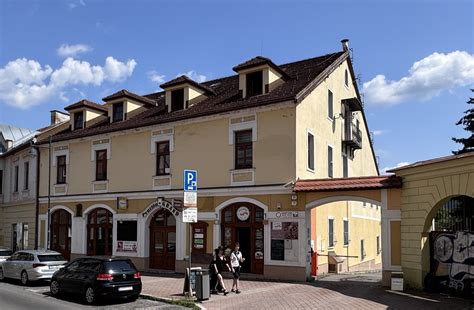 Pes v penzióne
