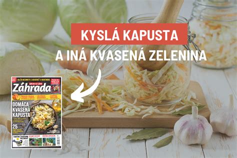 Ilustrácia procesu mliečneho kvasenia v kapuste