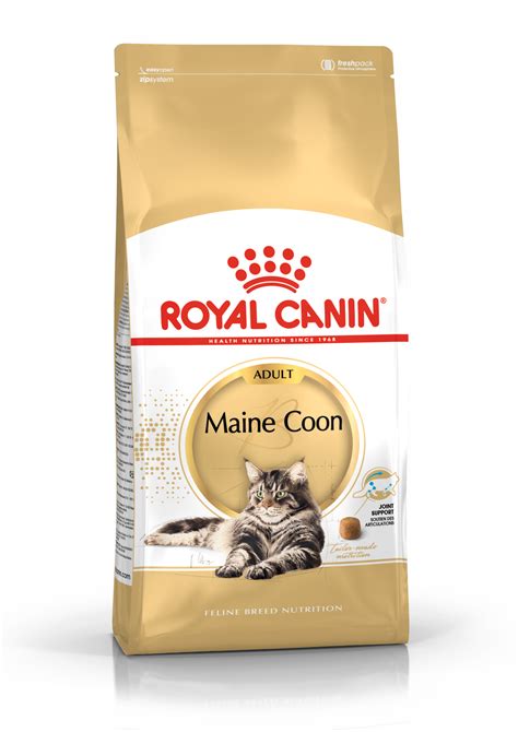 Granule krmiva Royal Canin Maine Coon Adult