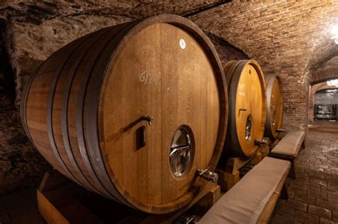 Ilustračný obrázok - skladovanie cukety v pivnici