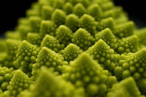 Detailná fotografia hlavičky Romanesco