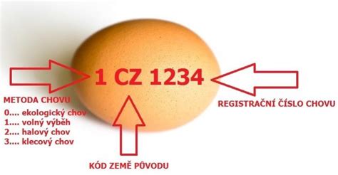 Infografika princípu vaječného rebríka