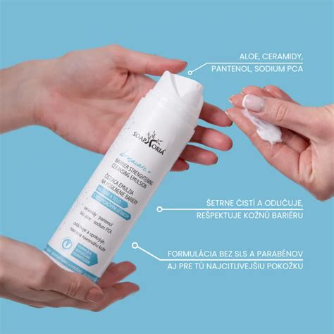 Schéma kožnej bariéry