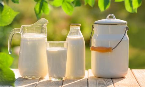 Kozie mlieko a jeho benefity