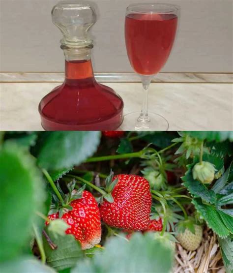 Zdravotné benefity jahôd