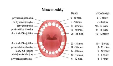 Ilustrácia rastu zúbkov u dieťaťa
