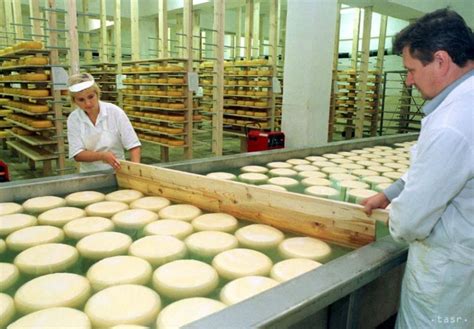 Slovenské syry z kozieho mlieka