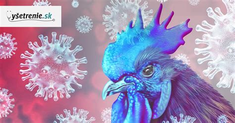 Infografika o spôsoboch prenosu vírusu SLAK