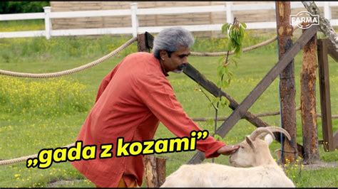 Farma s kozami