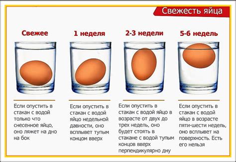 Schéma testu čerstvosti vajec vo vode
