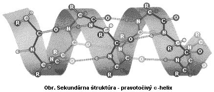 Štruktúra mliečnych bielkovín