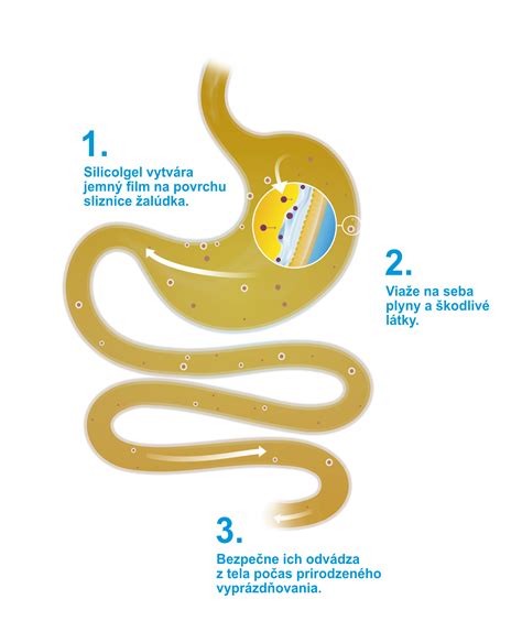 Infografika o zložení mlieka a jeho benefitoch
