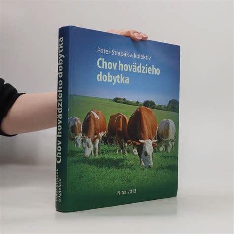 Ilustrácia hovädzieho dobytka na farme