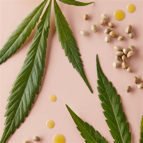 Ilustrácia benefitov konopných semienok