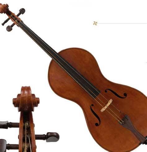 Ilustrácia pochovávania basy