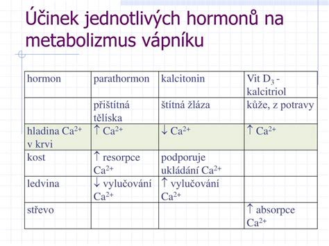 Schéma ukazujúca účinky kapsaicínu na metabolizmus