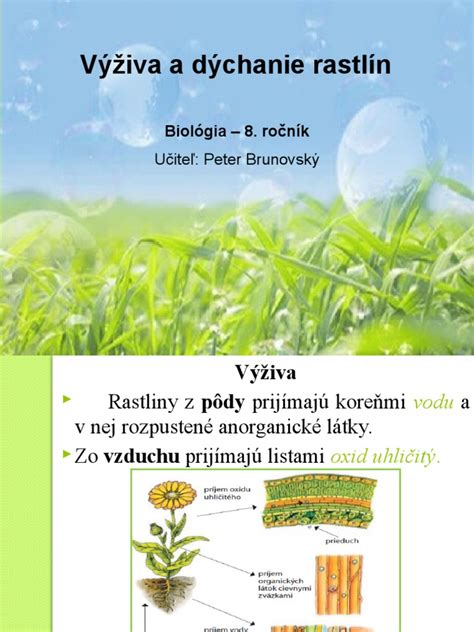 listová výživa rastlín
