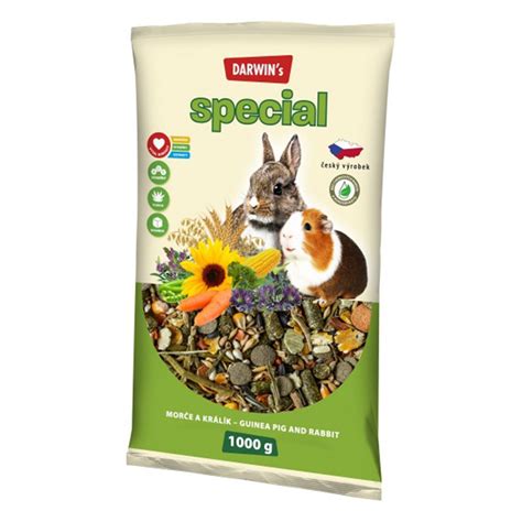 Misky s rôznou zeleninou pre morča