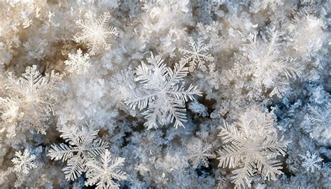 Makrofotografia snehových vločiek