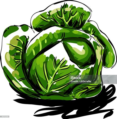 Grafika nutričných hodnôt kapusty