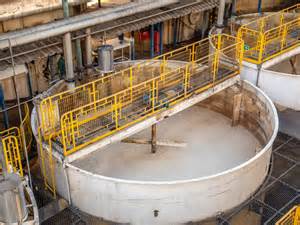 Ilustrácia cukrovej repy na poli