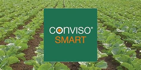 Schéma ošetrenia herbicídmi v systéme Conviso Smart