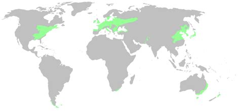 Mapa kávového pásu